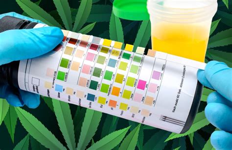 local companies dropping pot from drug tests|marijuana drug test dropping.